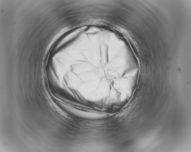 X0000059801235200511111553