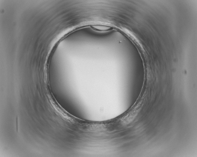 X0000059801238200511111553