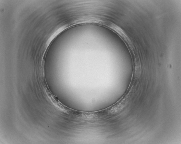 X0000059801242200511111553