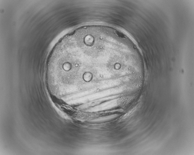 X0000059801245200511111553