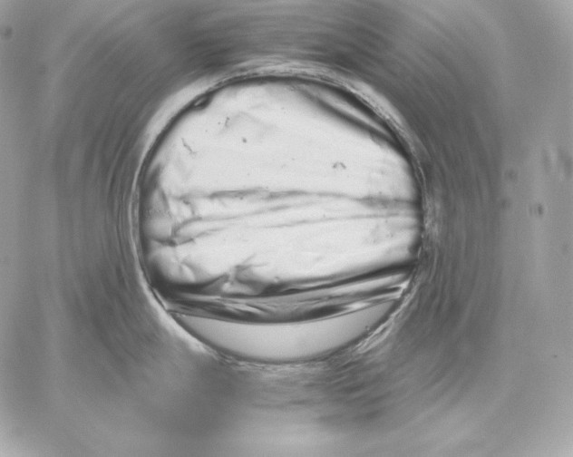 X0000059801247200511111553