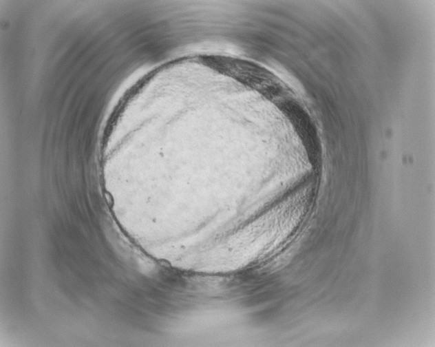 X0000059801248200511111553