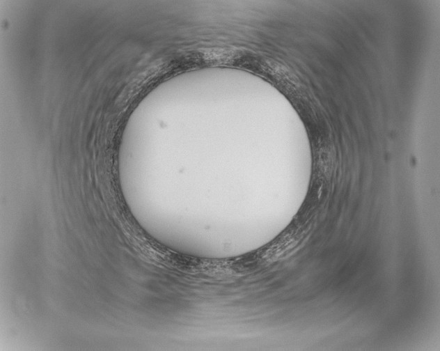 X0000059801249200511111552