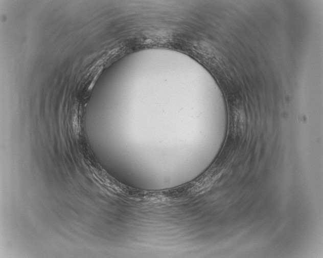 X0000059801250200511111552