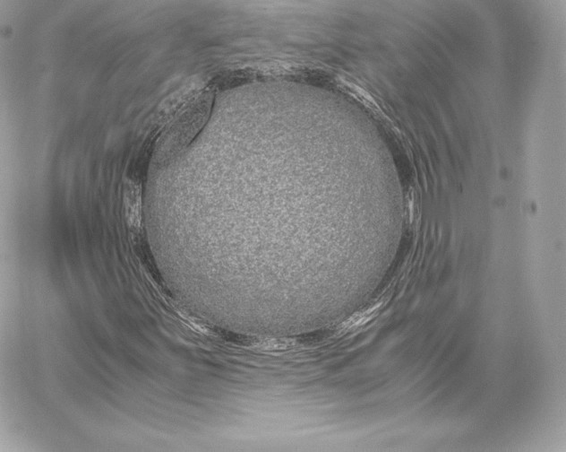 X0000059801251200511111552