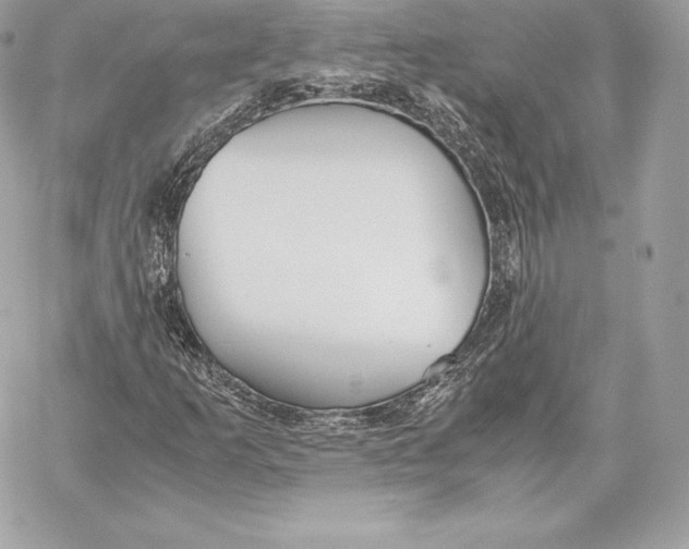 X0000059801253200511111552