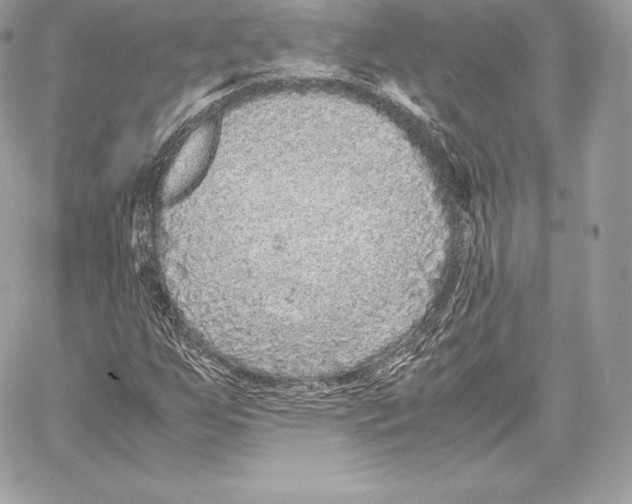 X0000059801255200511111552