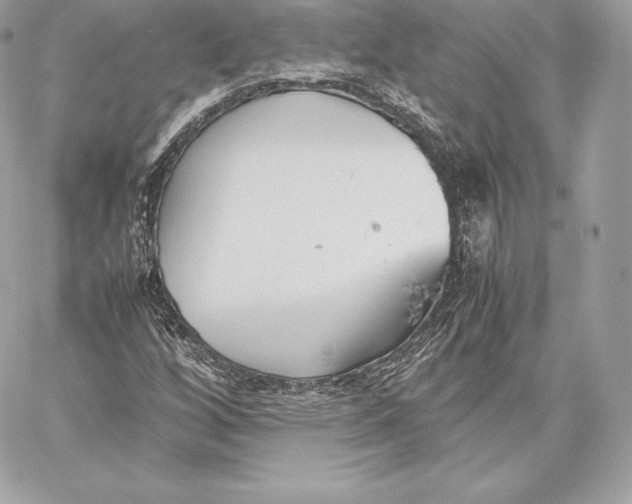 X0000059801256200511111552