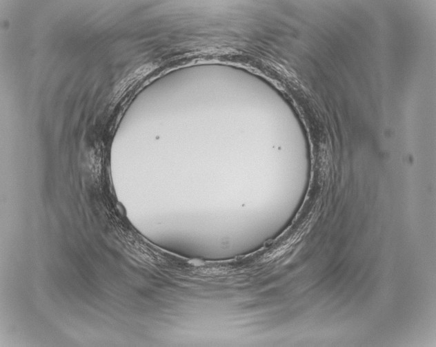 X0000059801257200511111552