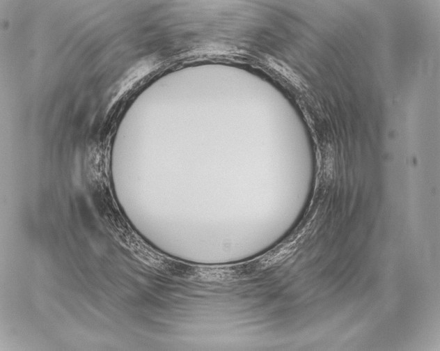 X0000059801258200511111552