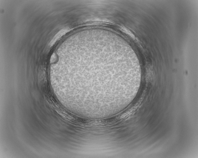 X0000059801259200511111552