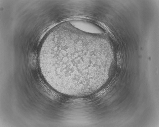 X0000059801260200511111552