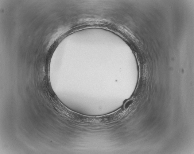 X0000059801261200511111552