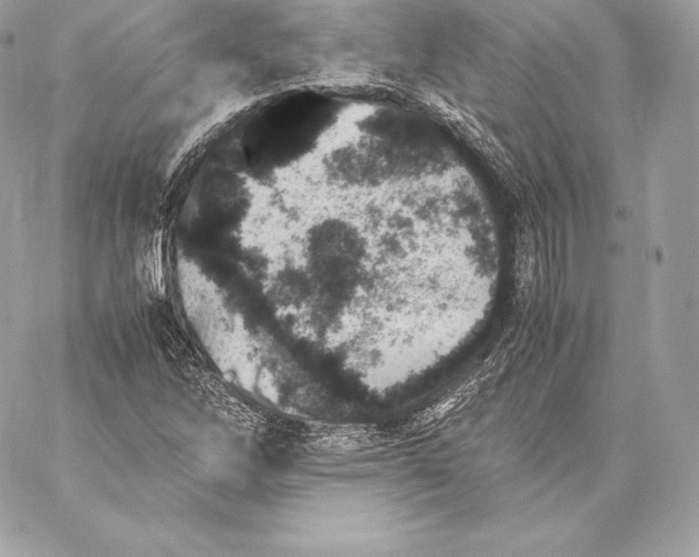 X0000059801262200511111552