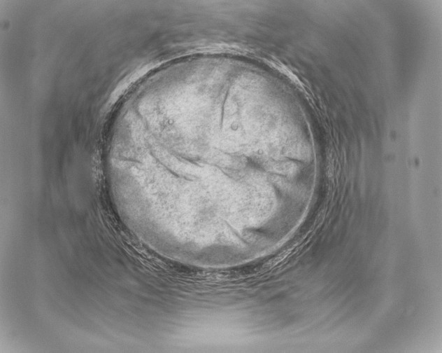 X0000059801263200511111552