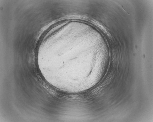 X0000059801264200511111552