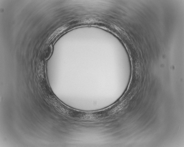 X0000059801265200511111552