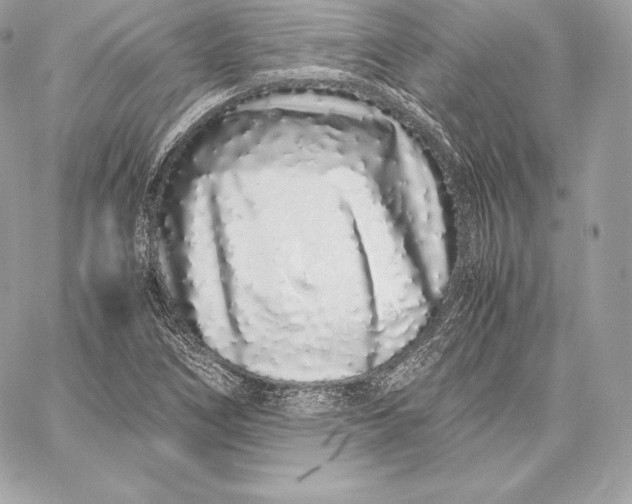 X0000059801266200511111552