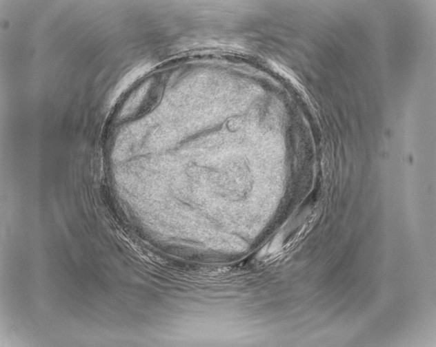 X0000059801267200511111552