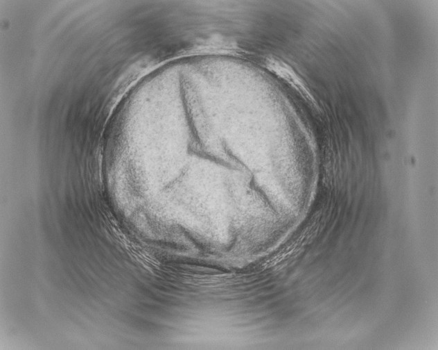 X0000059801268200511111552