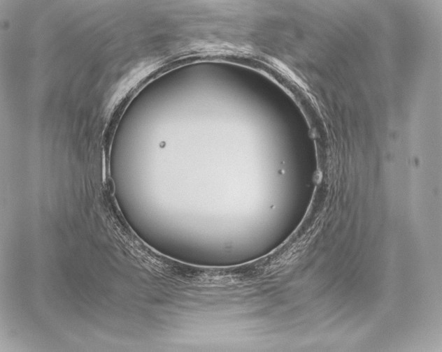 X0000059801269200511111552