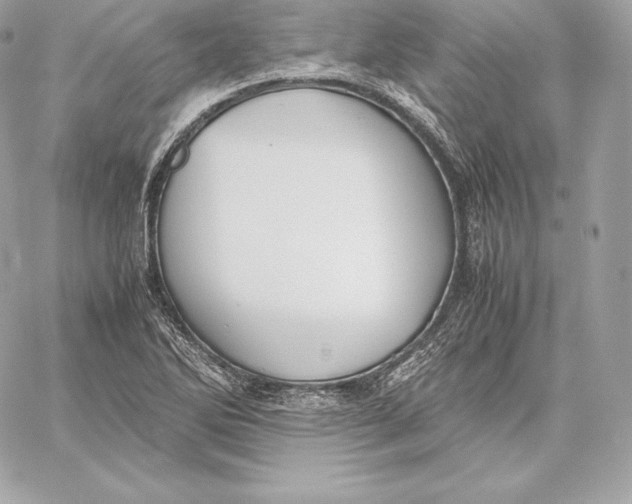 X0000059801270200511111552