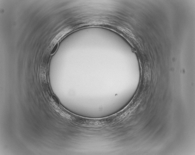 X0000059801273200511111552