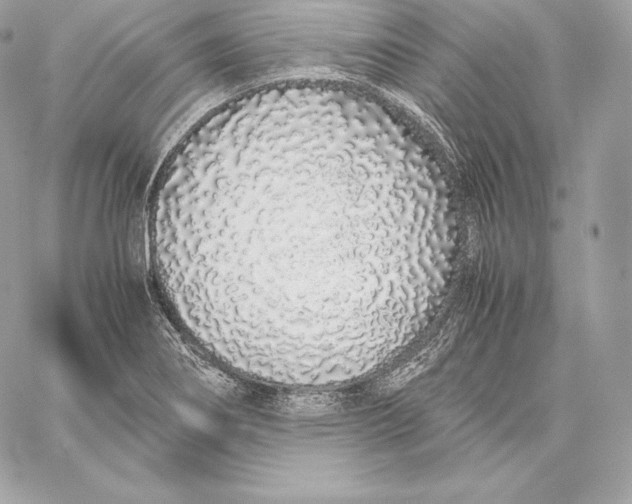 X0000059801274200511111552