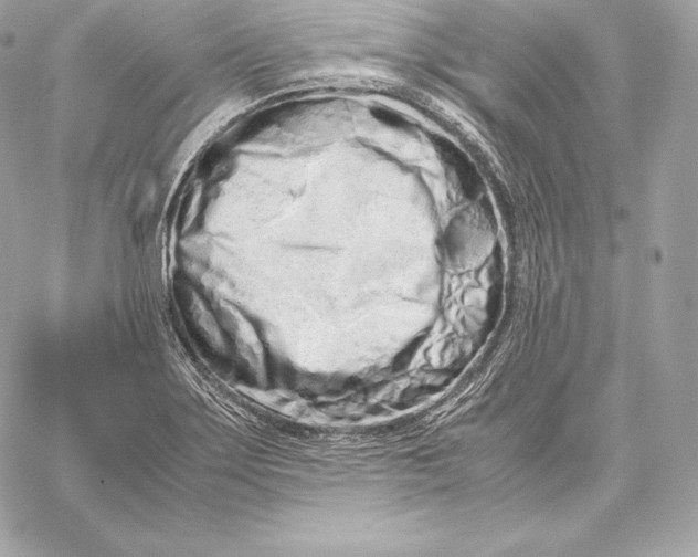 X0000059801275200511111552