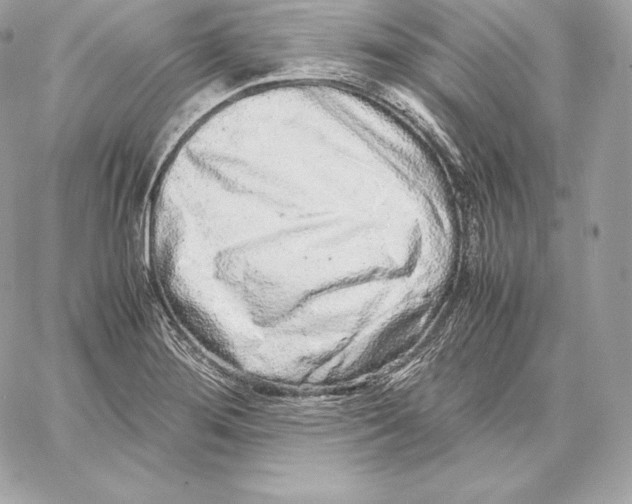 X0000059801276200511111552