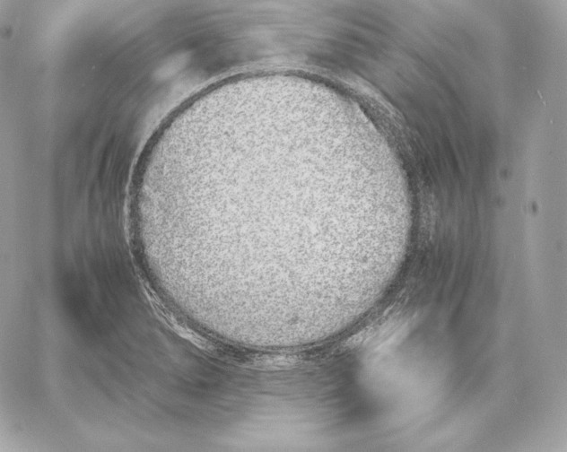 X0000059801278200511111551