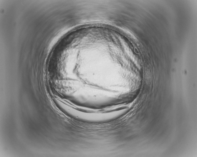 X0000059801279200511111551