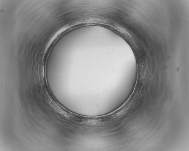 X0000059801280200511111551