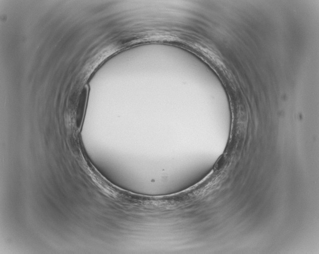 X0000059801281200511111551