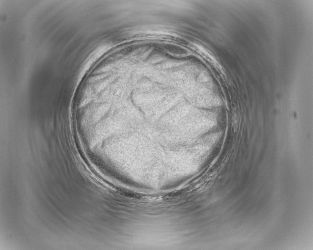 X0000059801283200511111551