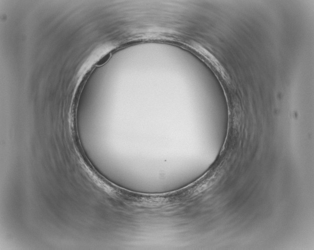 X0000059801285200511111551