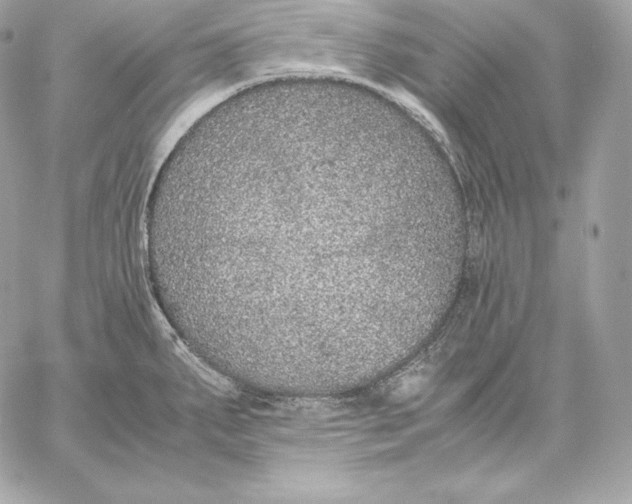 X0000059801287200511111551