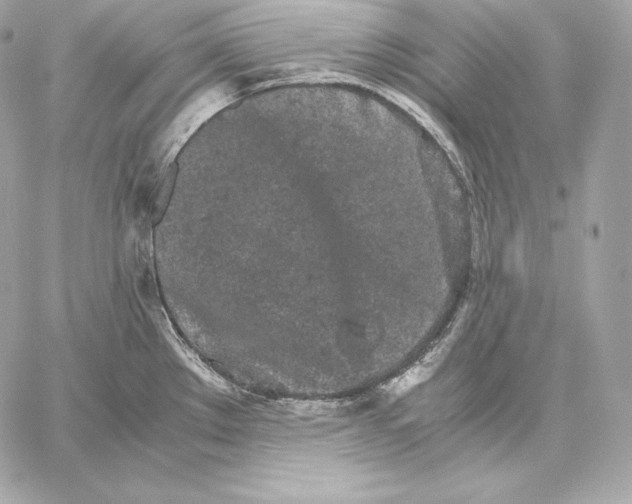 X0000059801289200511111551