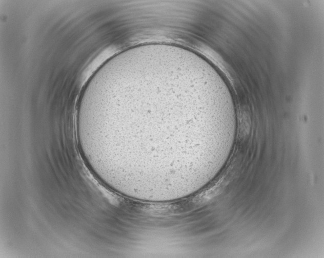 X0000059801290200511111551