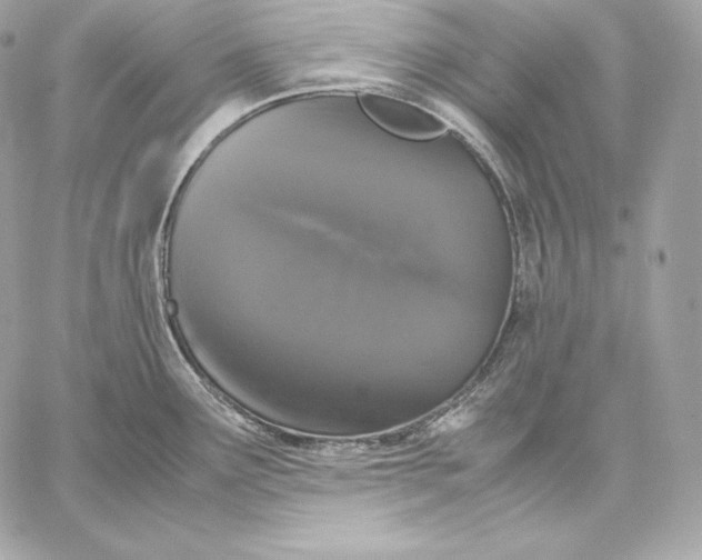 X0000059801291200511111551