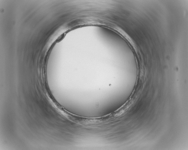 X0000059801293200511111551