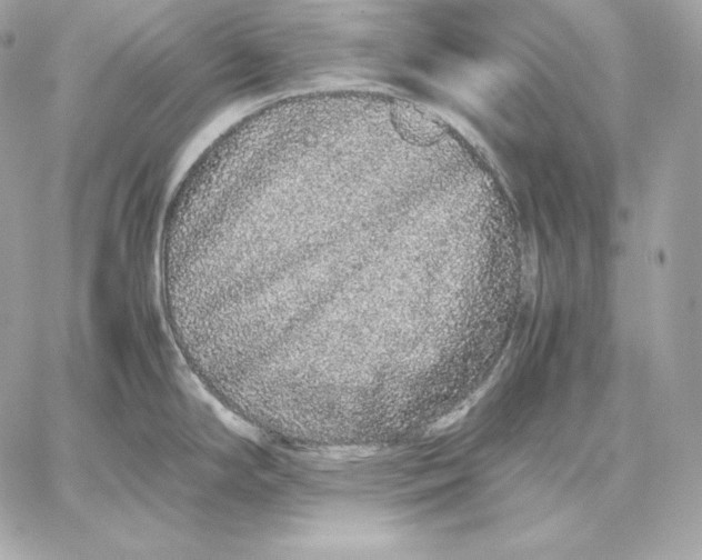 X0000059801294200511111551