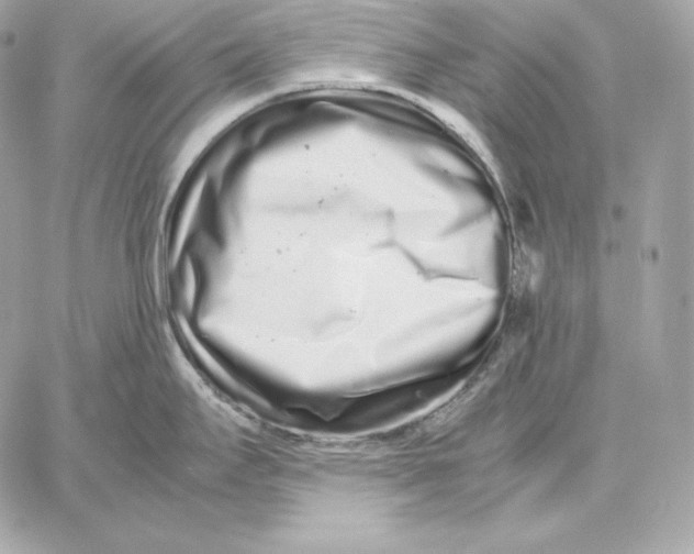 X0000059801295200511111551