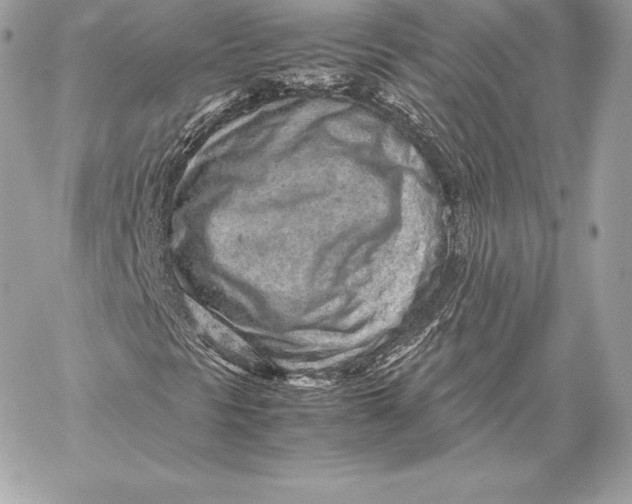 X0000059801297200511111550