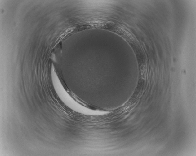 X0000059801298200511111550