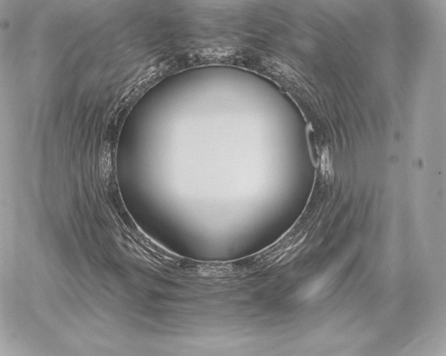 X0000059801299200511111550