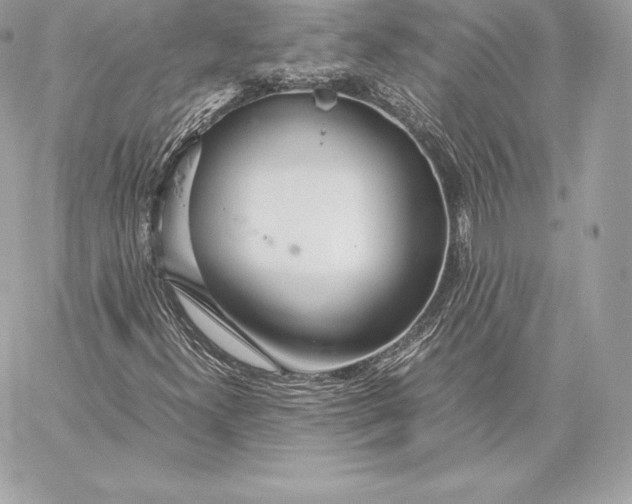 X0000059801300200511111550