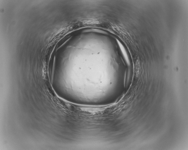 X0000059801301200511111550