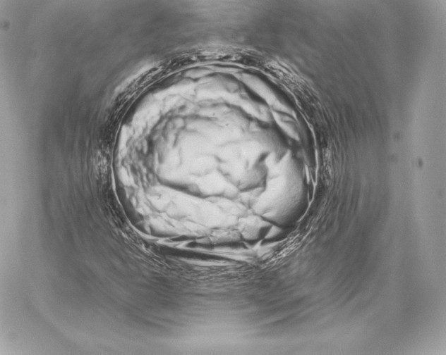 X0000059801302200511111550