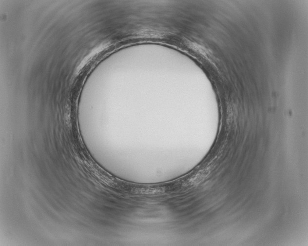 X0000059801307200511111551